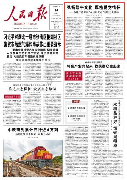 逃离天鹅森林